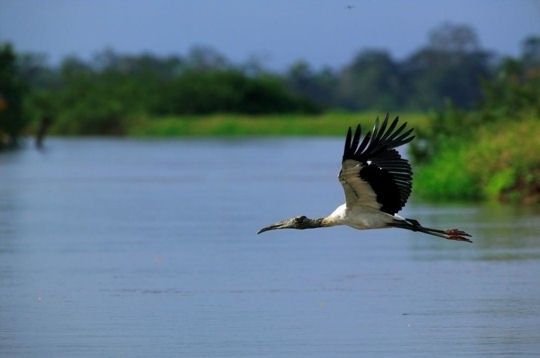 jésus est Dieu IL t aime à en mourir