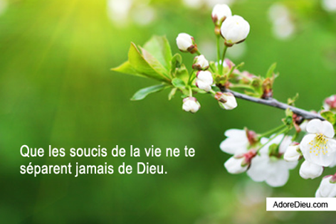 rencontre jesus nicodeme